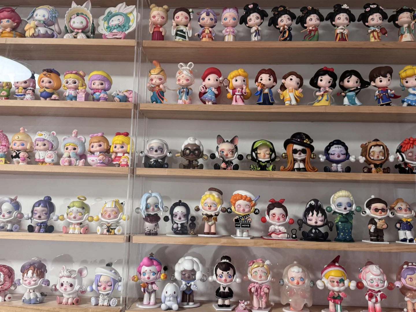 我是收集癖患者