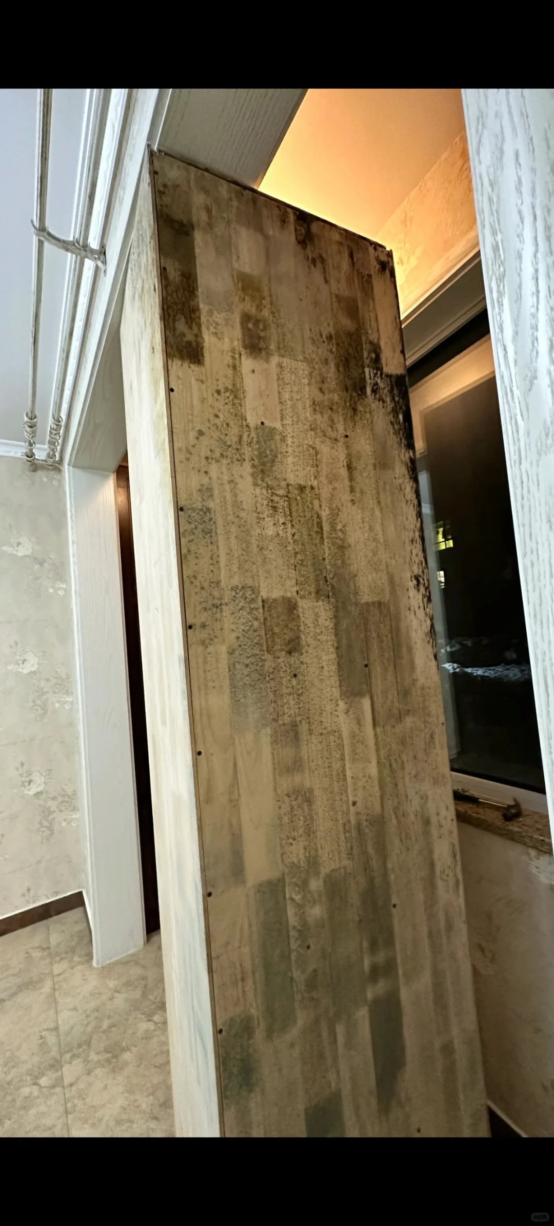 家具板材，床，实木柜体发霉？安全最重要！
