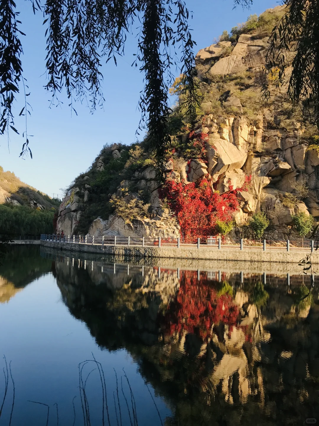 科技休息,老登上台?