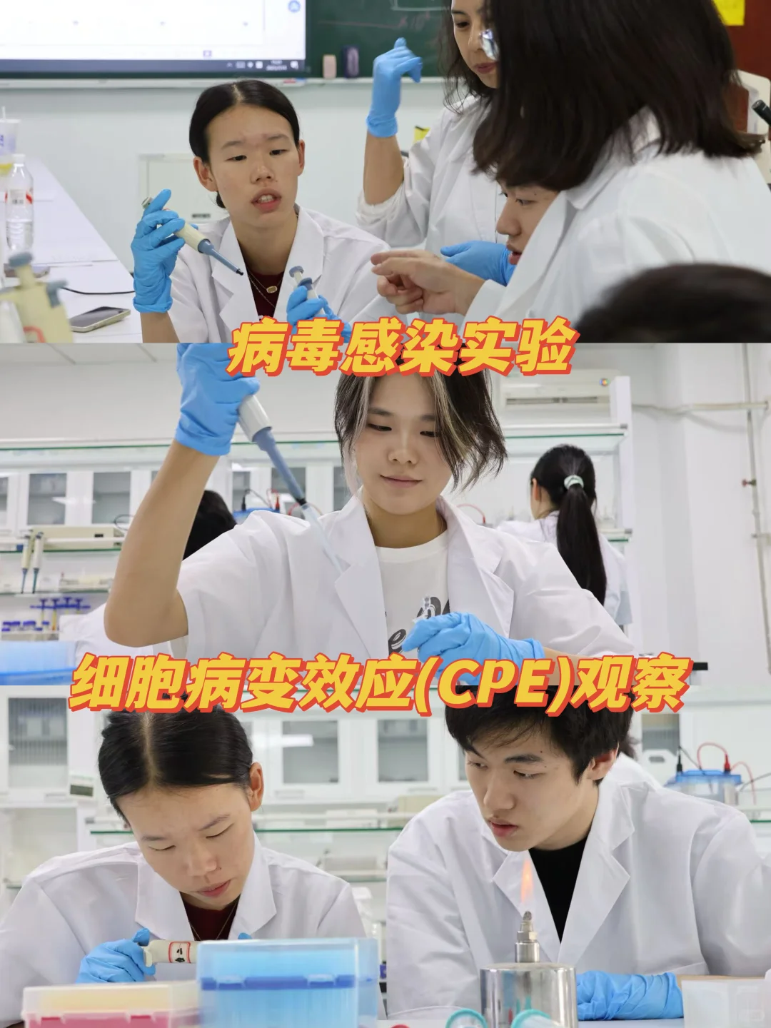 高中生的奇思妙想实验室!病毒是如何入侵?