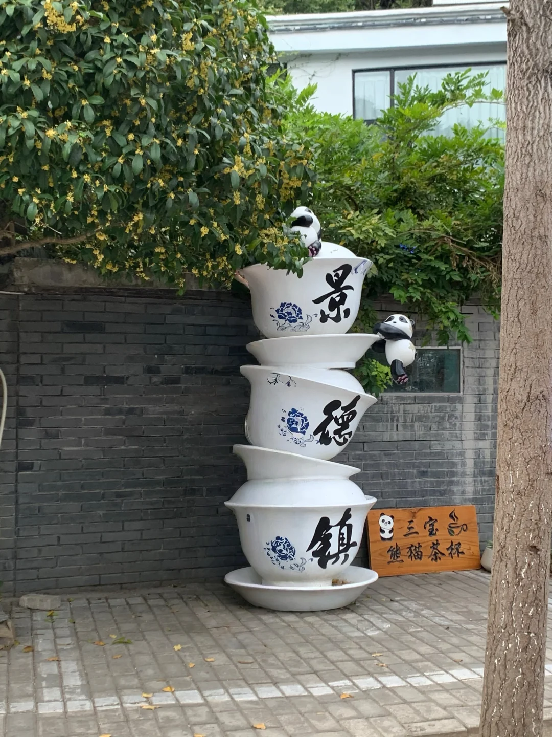 景德镇极限一日游?