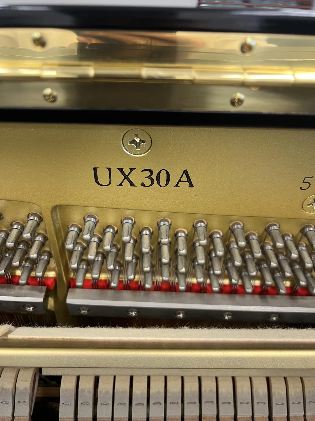 奥克兰 Yamaha UX30A