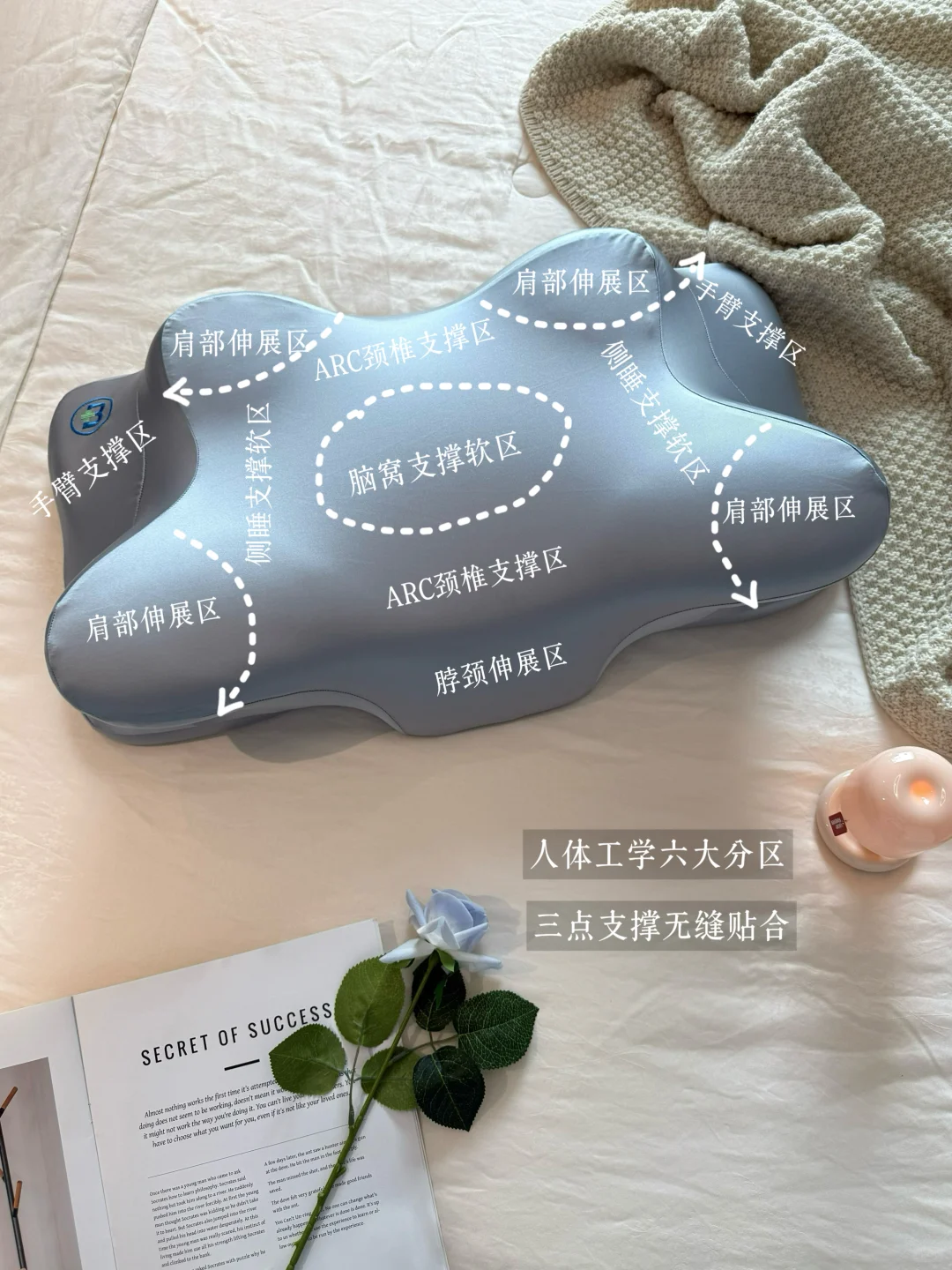 In my room|一间好睡的卧室?️