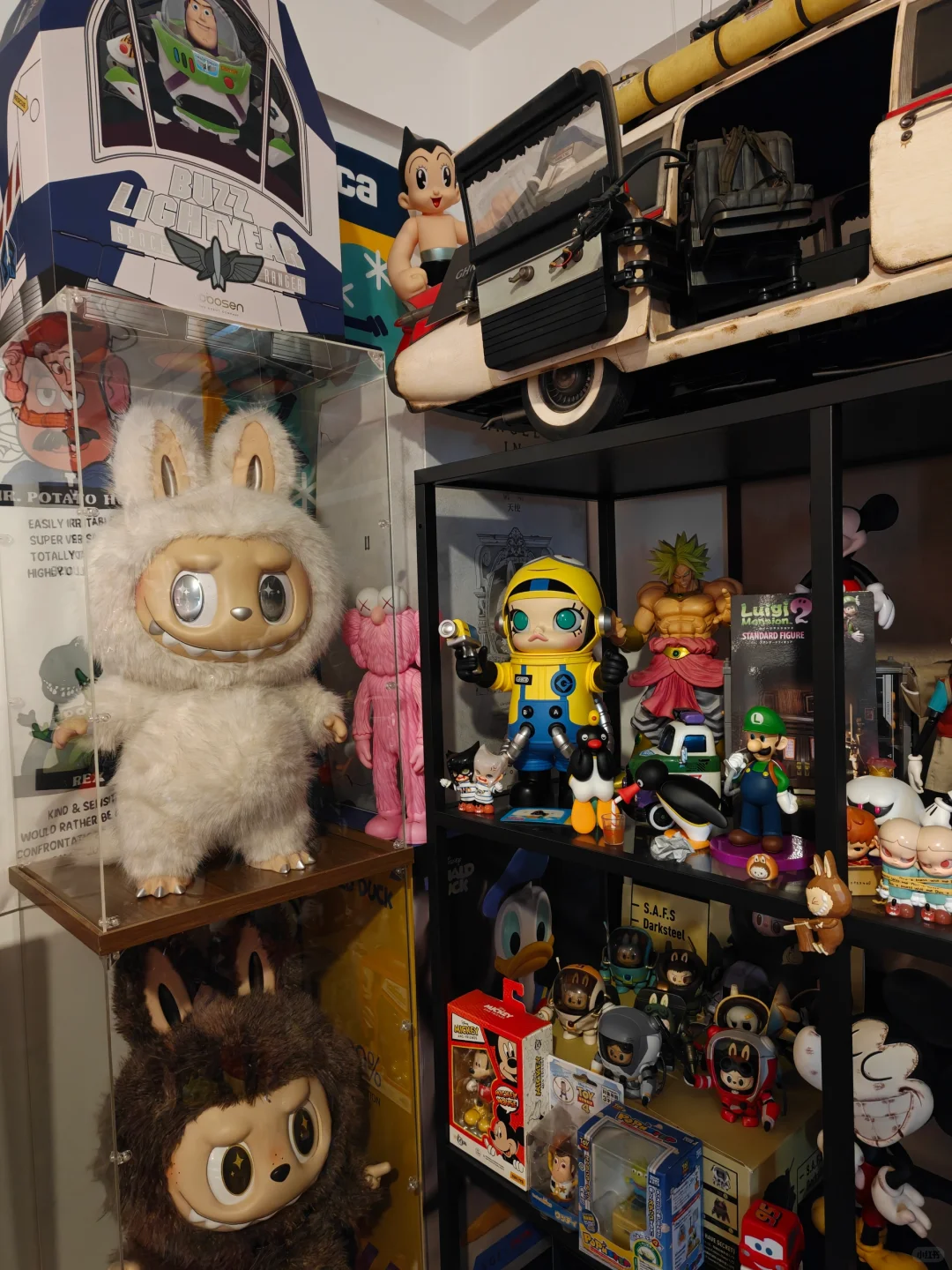 十岁拥有他们快乐还是三十岁？?