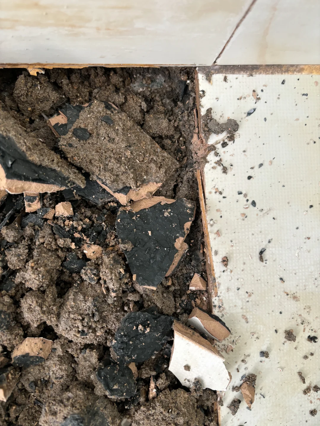 明明都做了防水还是漏水.