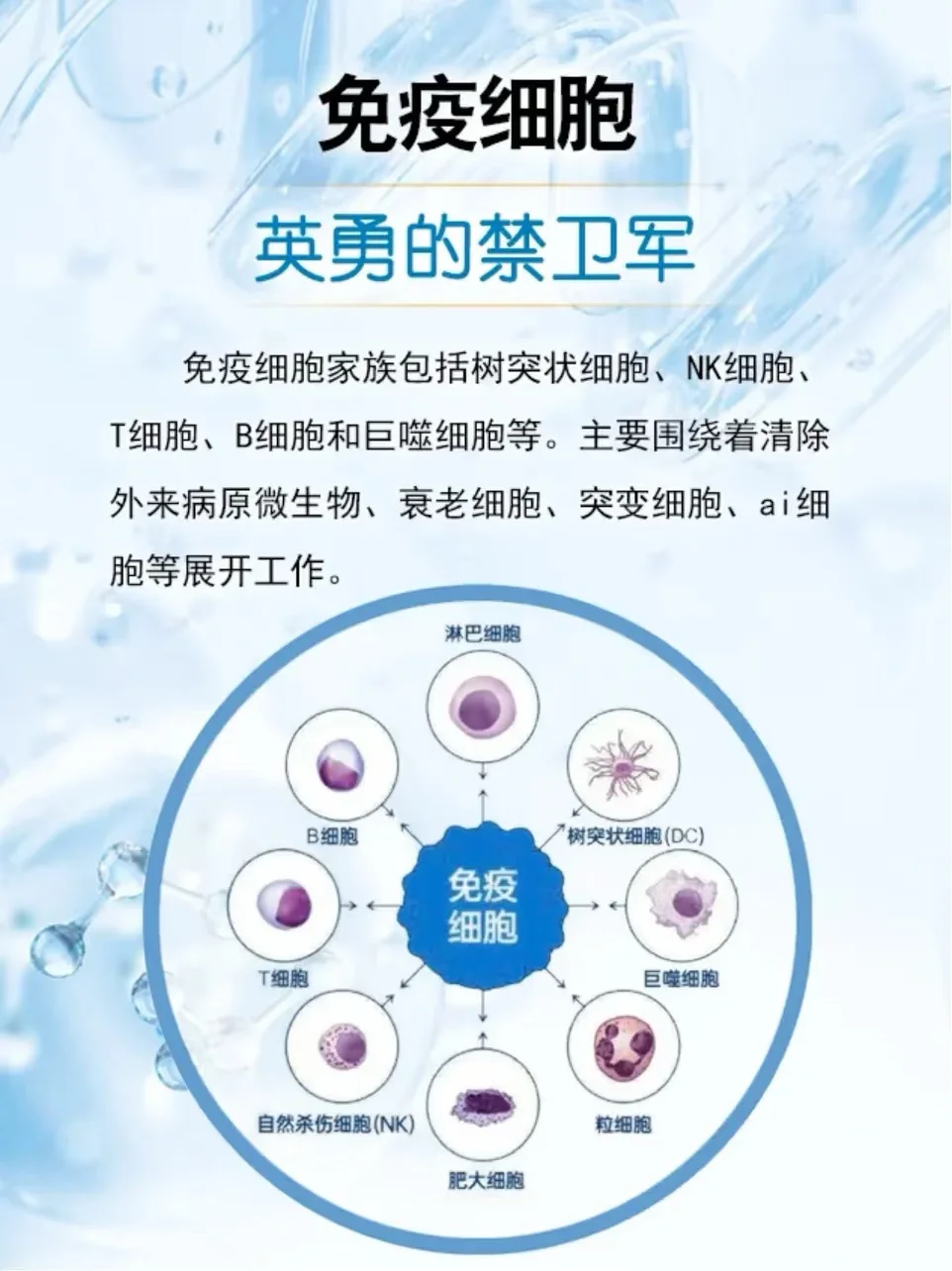 细胞好身体好，守护健康从细胞开始