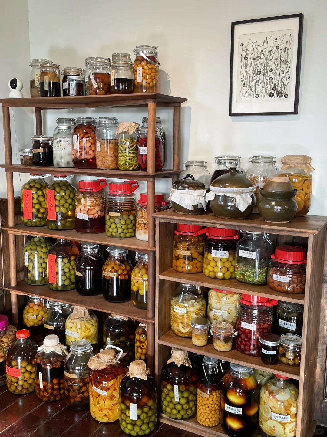 瓶瓶罐罐的我的生活