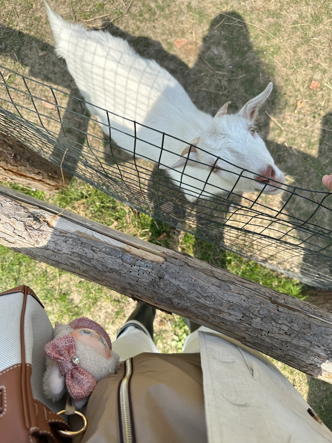 人生第一次种地！是“向往的田园生活了”