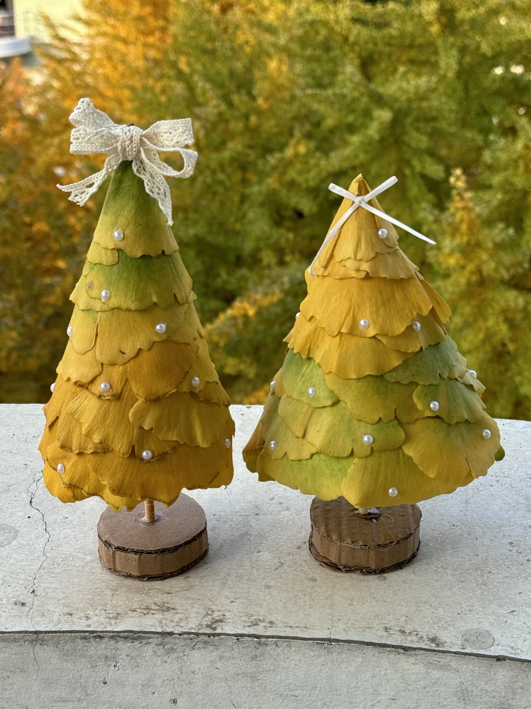 捡秋做圣诞树啦?（附工具和步骤图）