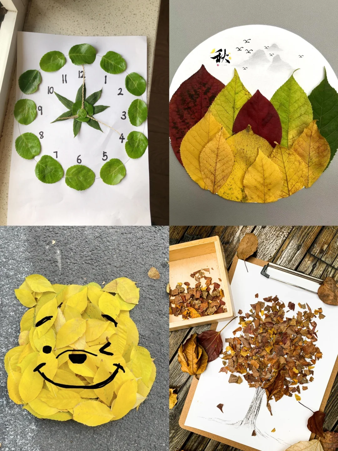 艾特你的好朋友一起去公园捡秋天！