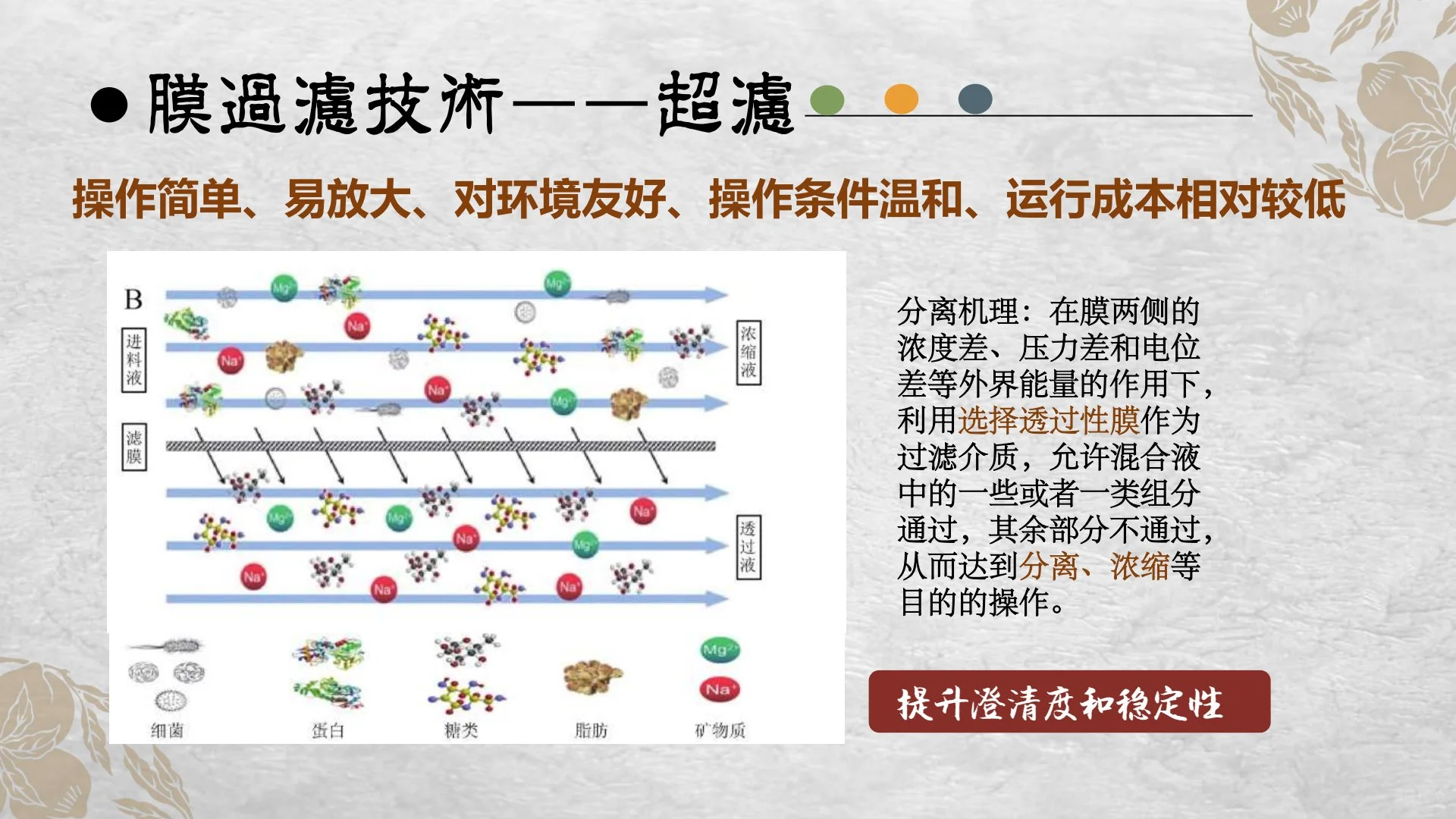 新型紫苏饮产品