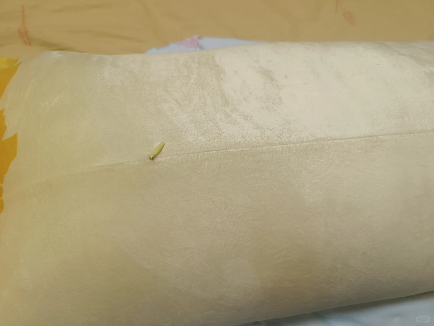 我的天这也太隐形了吧