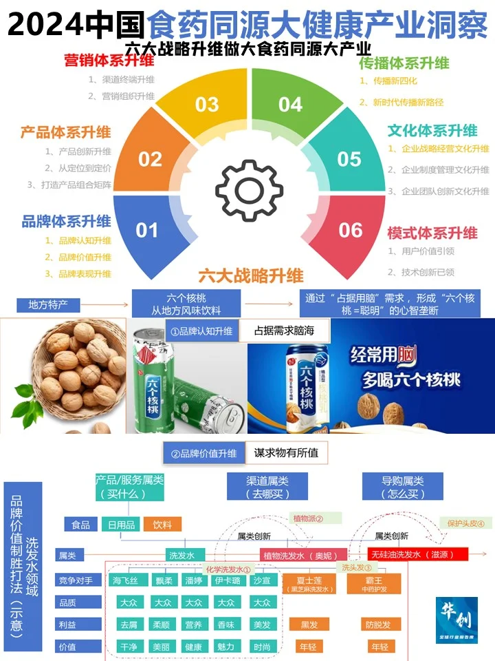 ♨️2024中国药食同源及大健康产业洞察