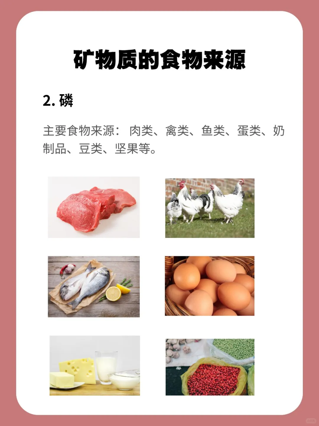 矿物质是什么?含矿物质的食物有哪些?
