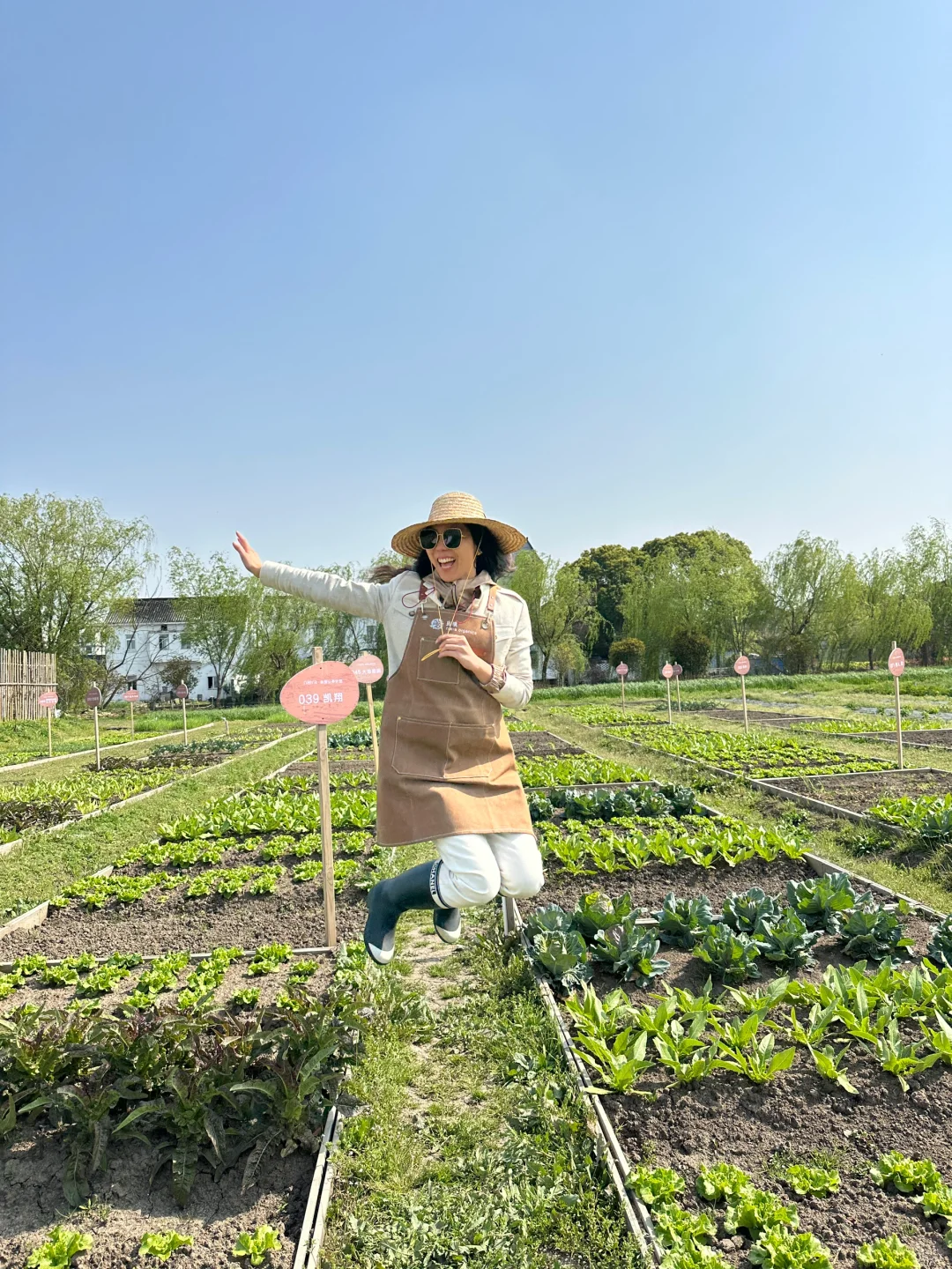 人生第一次种地！是“向往的田园生活了”