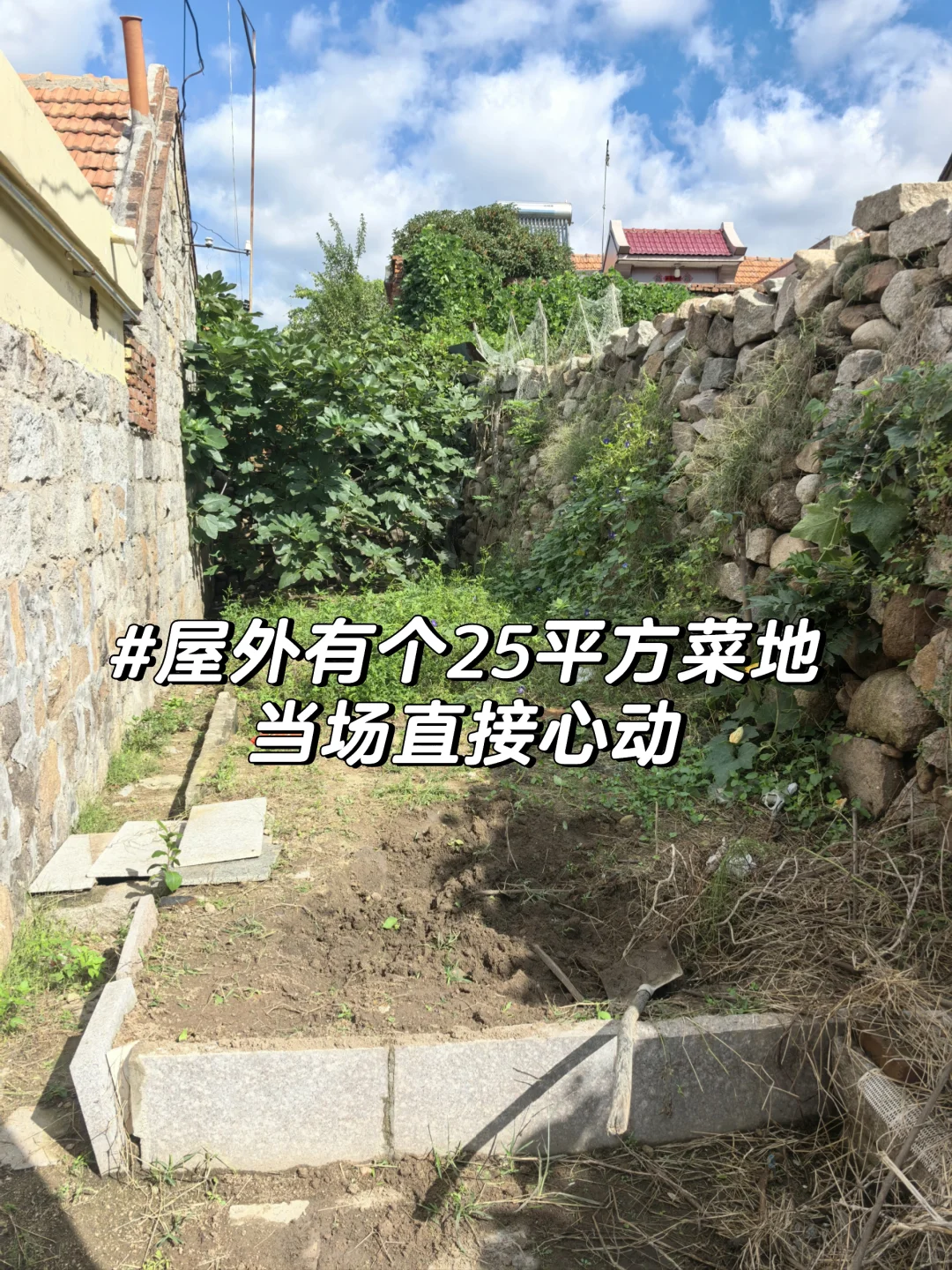 在青岛｜当我用1250/月租到心仪的崂山小院