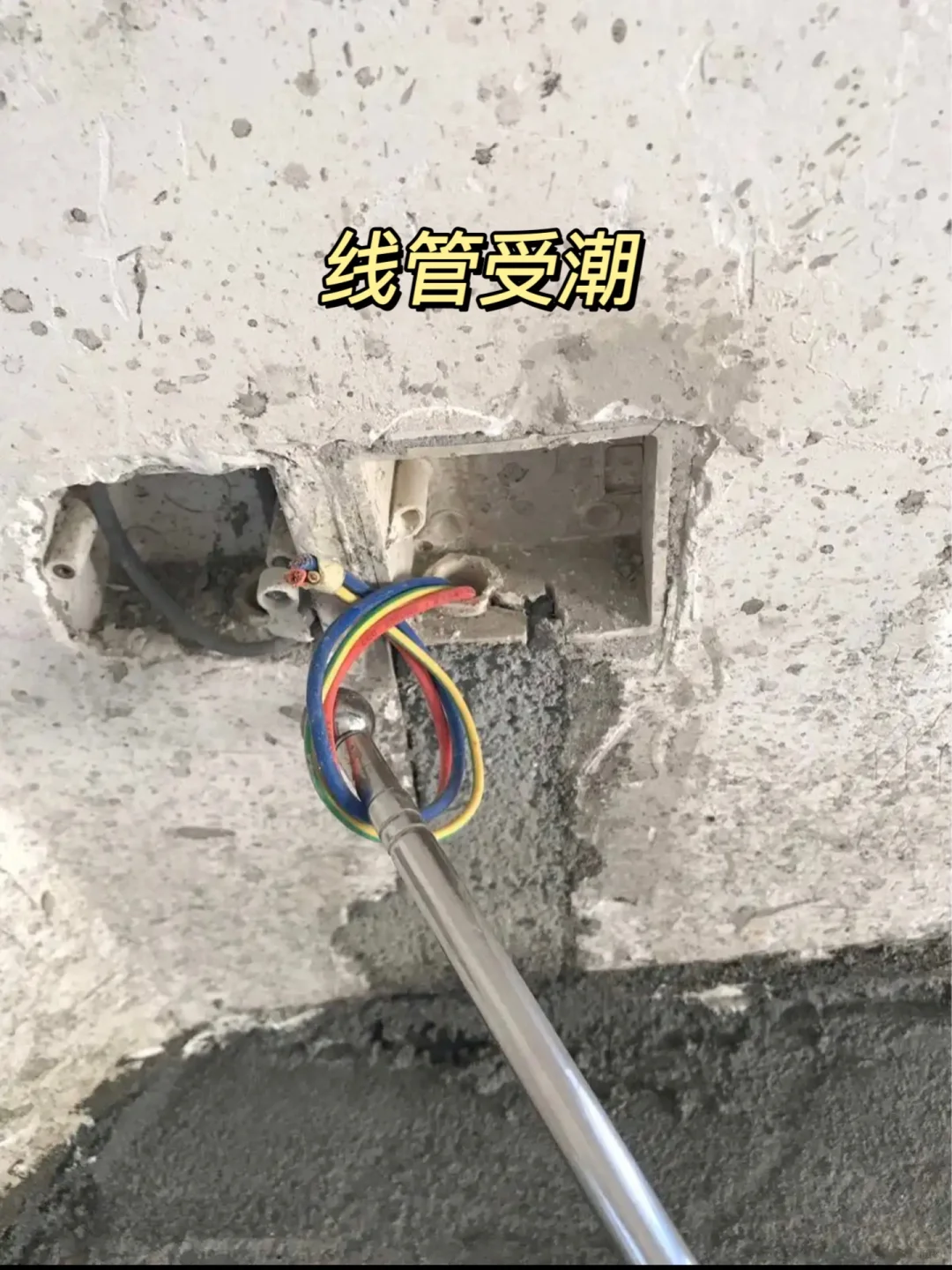 姐妹们!回南天装修,真的别搞砸了!