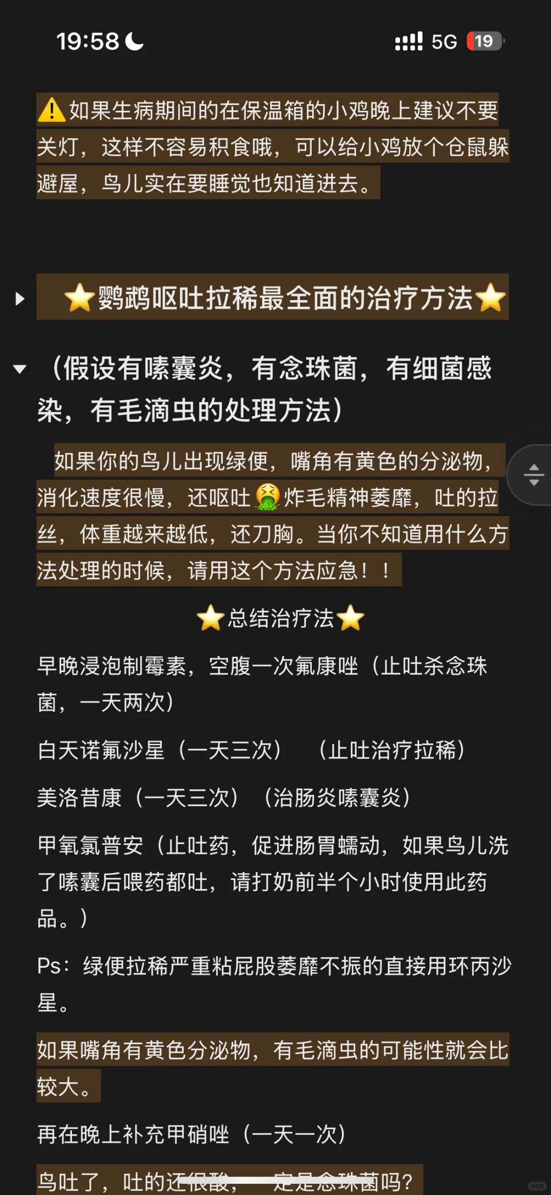 主任强推！鹦鹉呕吐拉稀一天见效处理