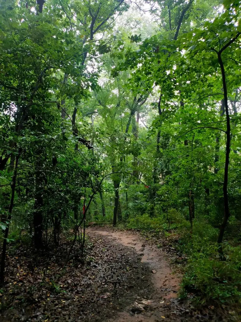 国企招标投标合规管理55个重点问题（收藏）