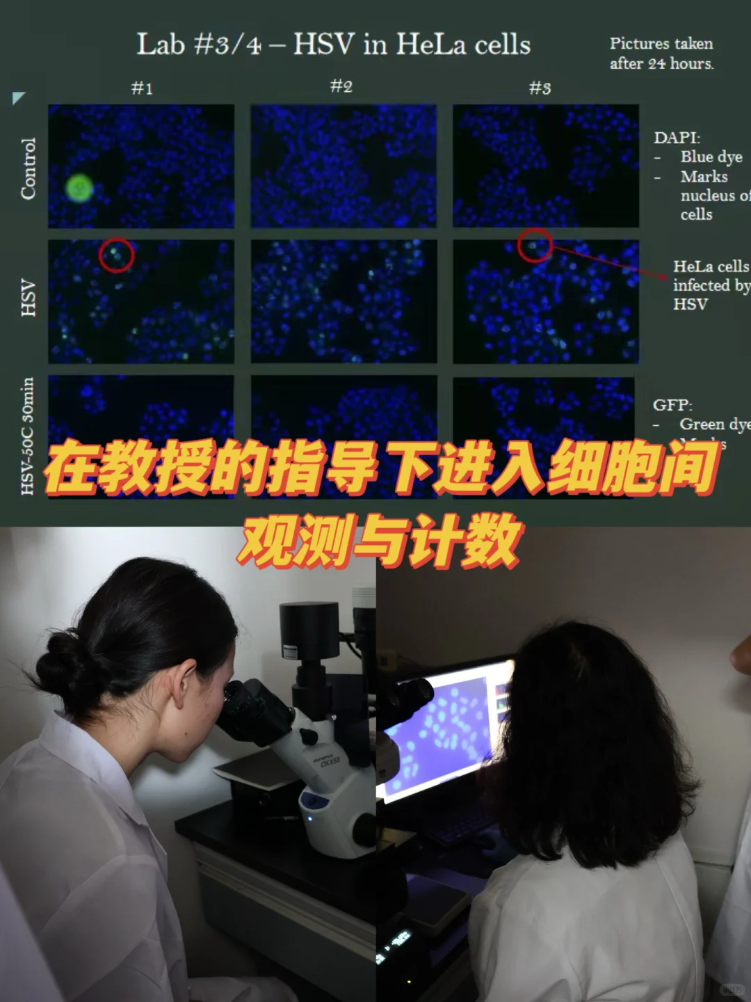 高中生的奇思妙想实验室!病毒是如何入侵?