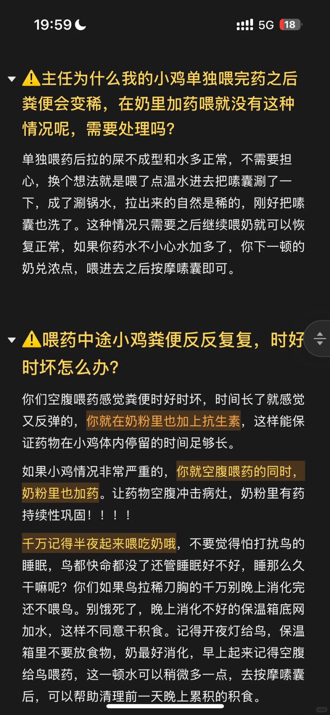 主任强推！鹦鹉呕吐拉稀一天见效处理