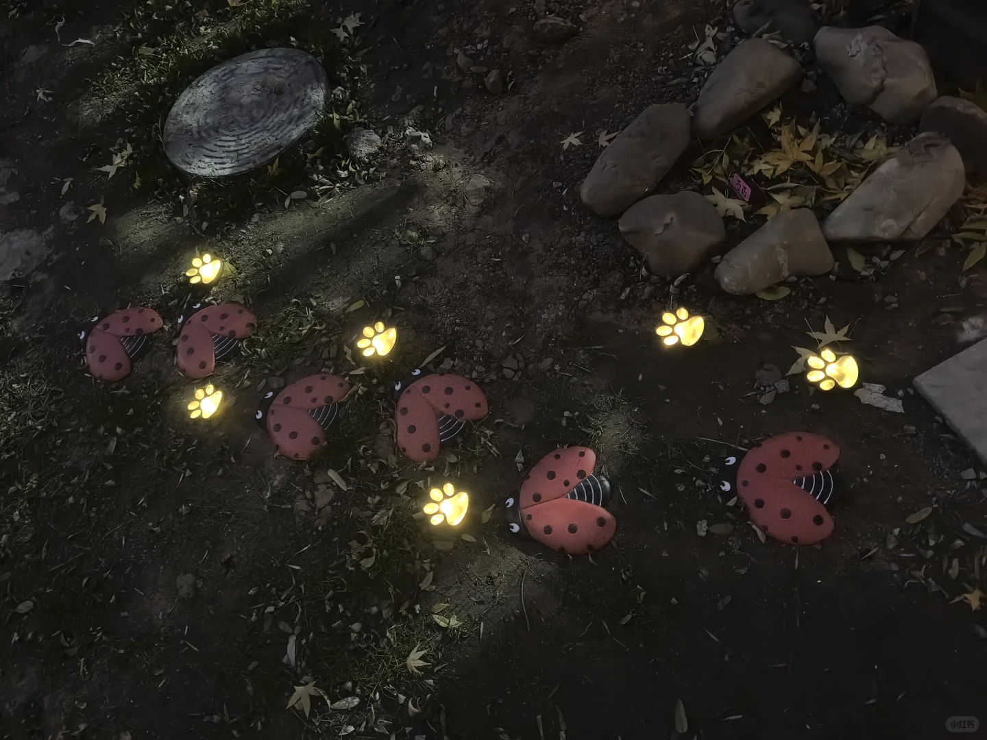 瓢虫?踏步和猫爪?太阳能灯