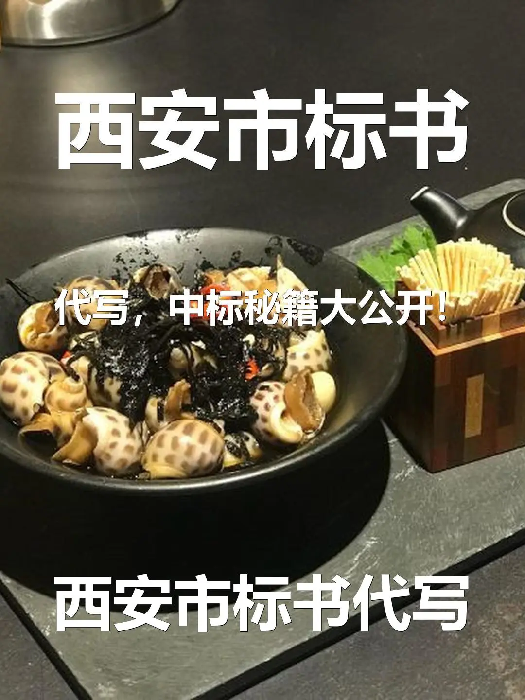 西安市标书代写,中标秘籍大公开!