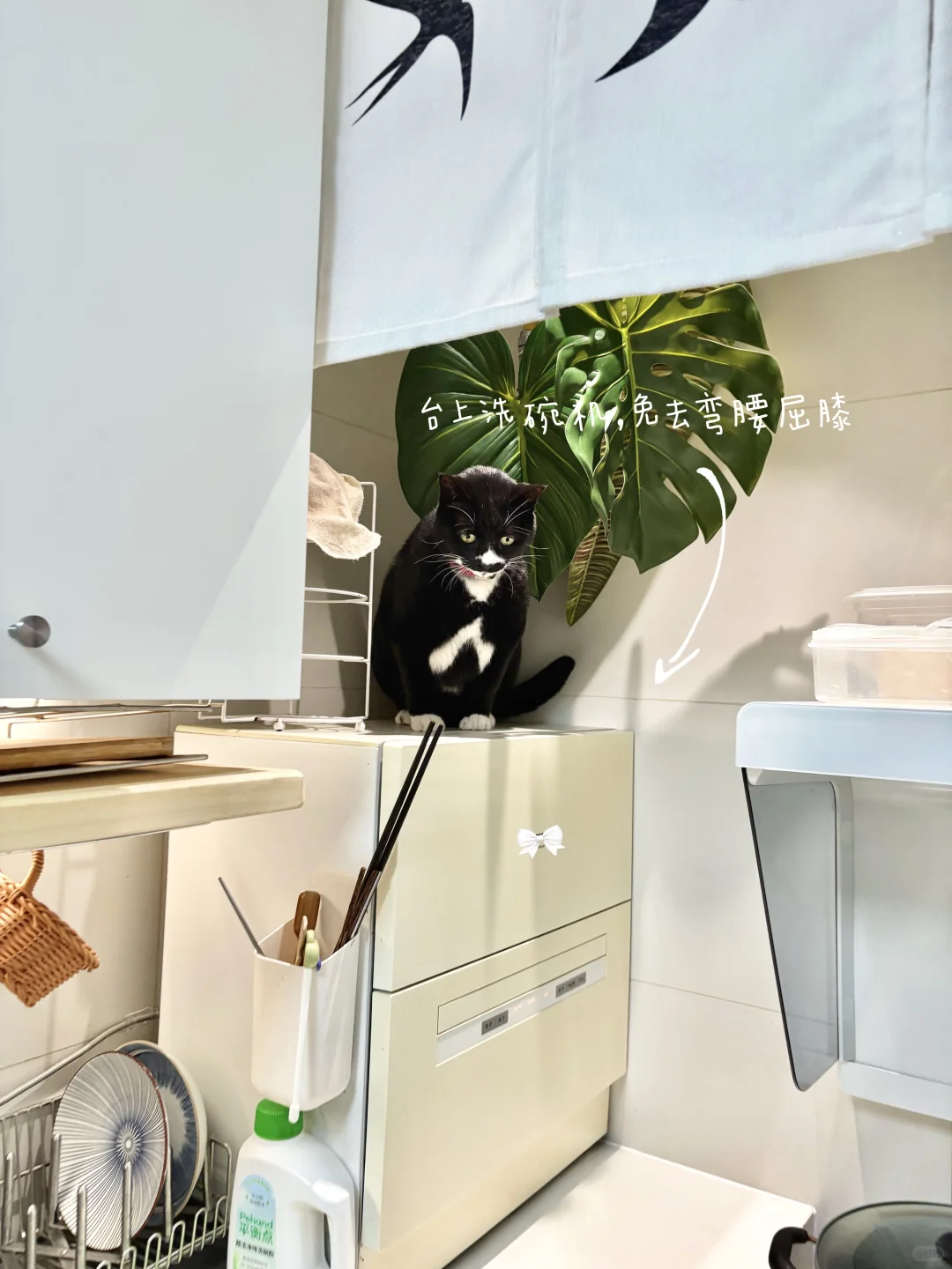 和公婆同住,这3个思路让家更舒服|超多细节