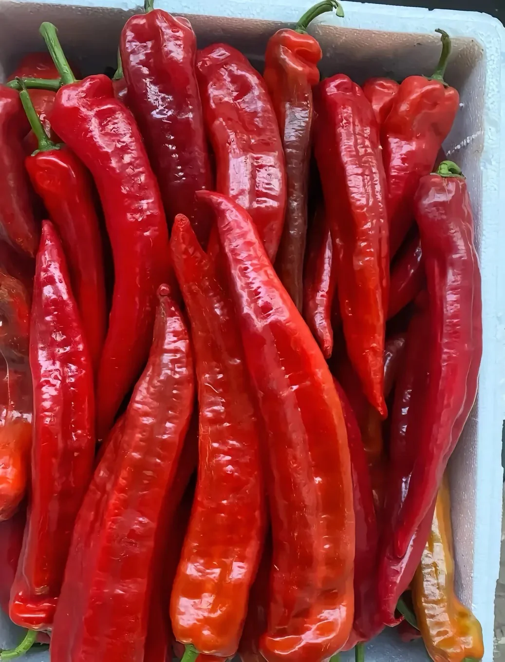 上海 全区 食材 餐饮 供应 配送