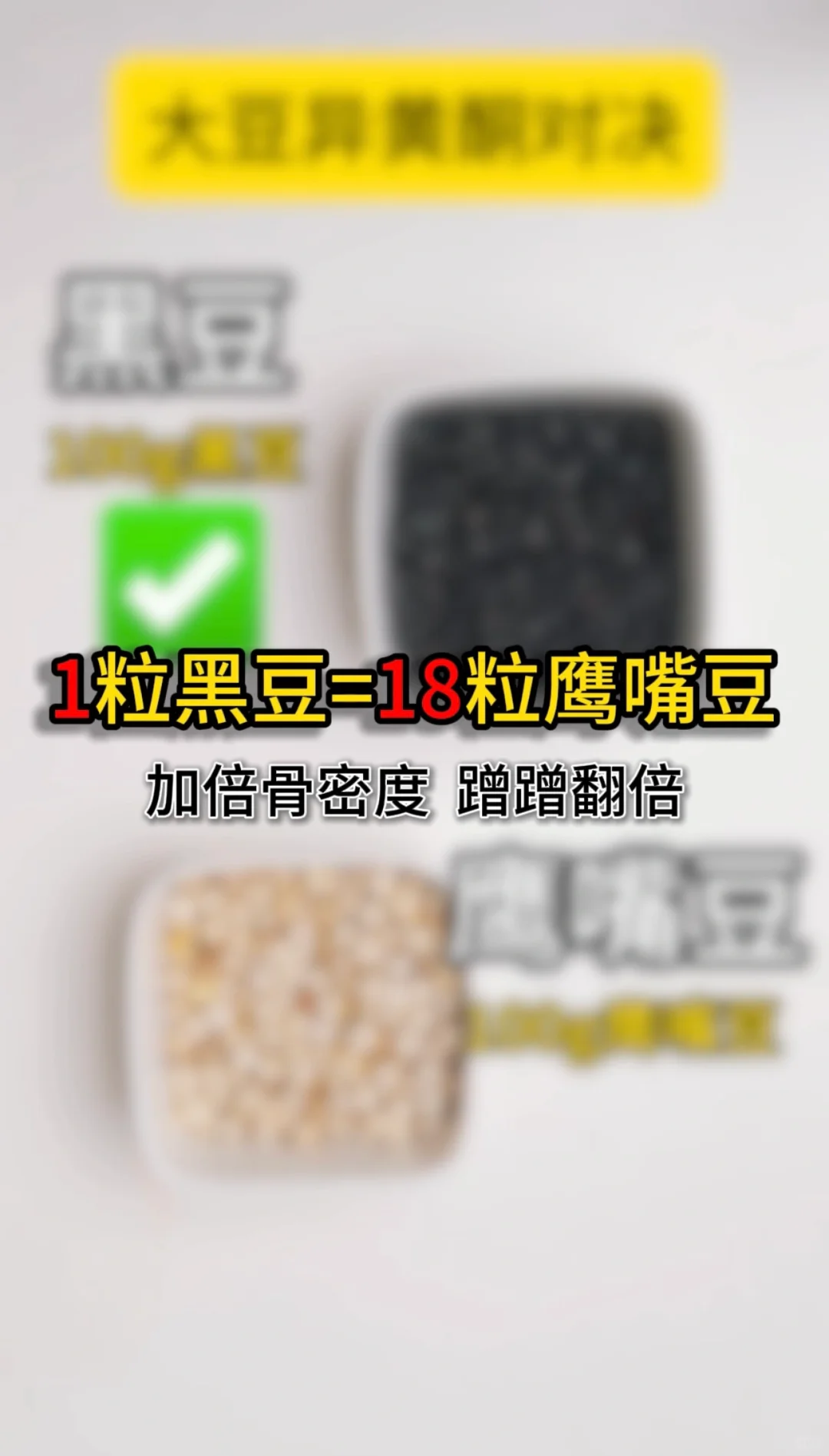 仙女必备零食好物