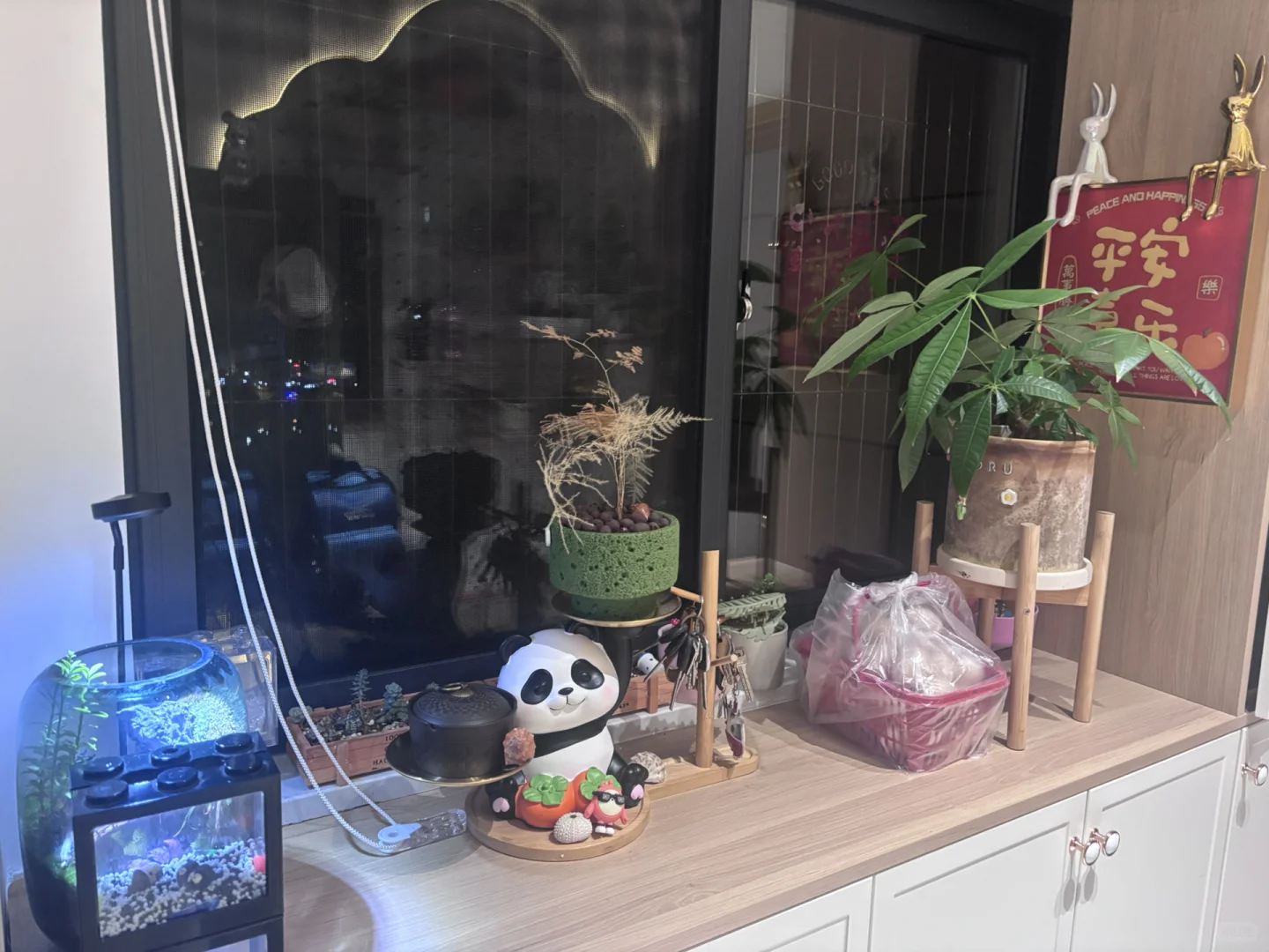 请教我做家务,收纳和整理。