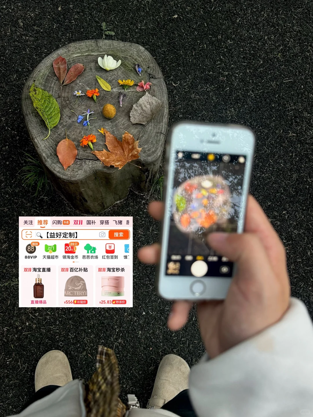 这句歌词也太适合十一月发了吧???