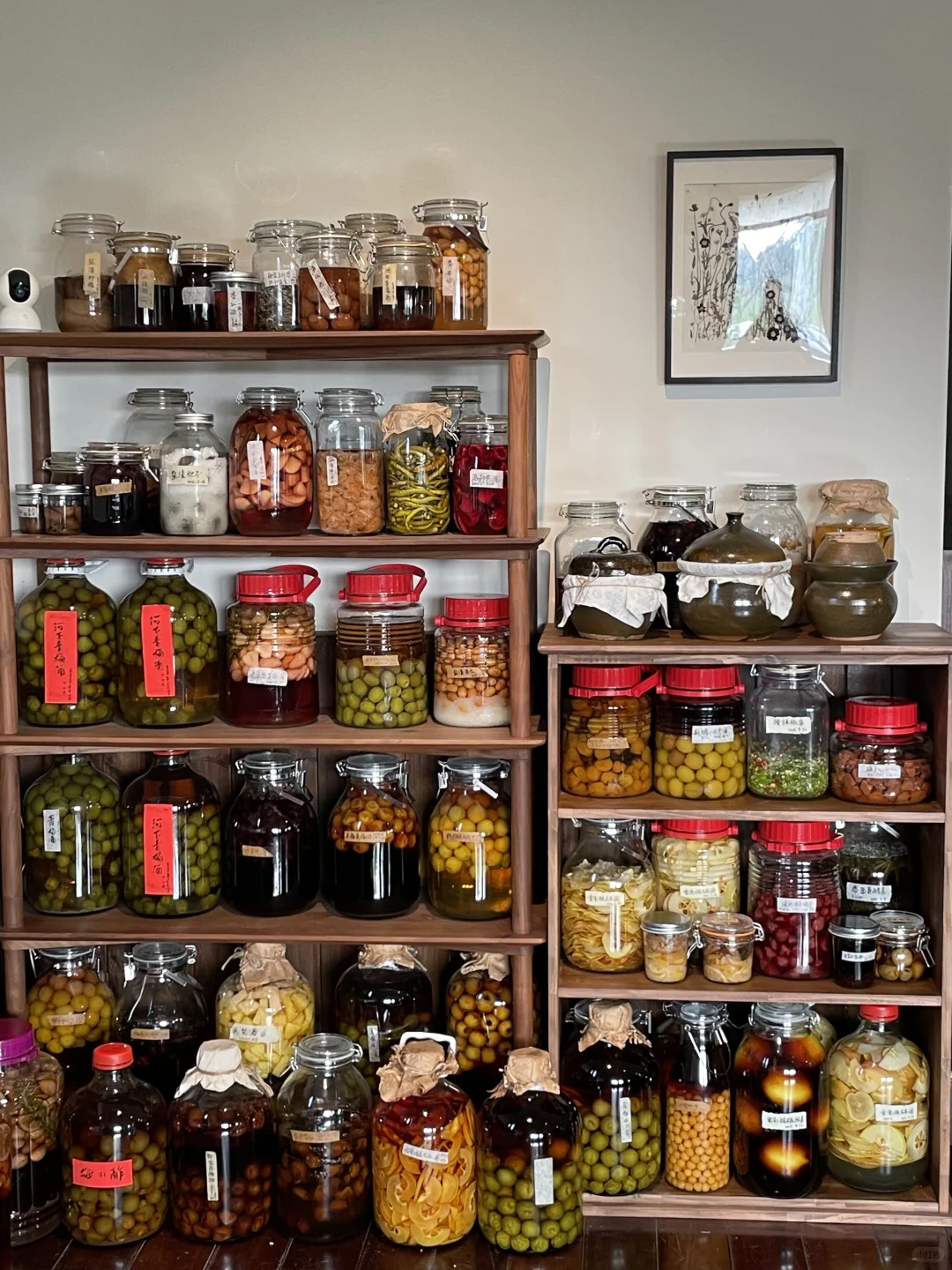 瓶瓶罐罐的我的生活