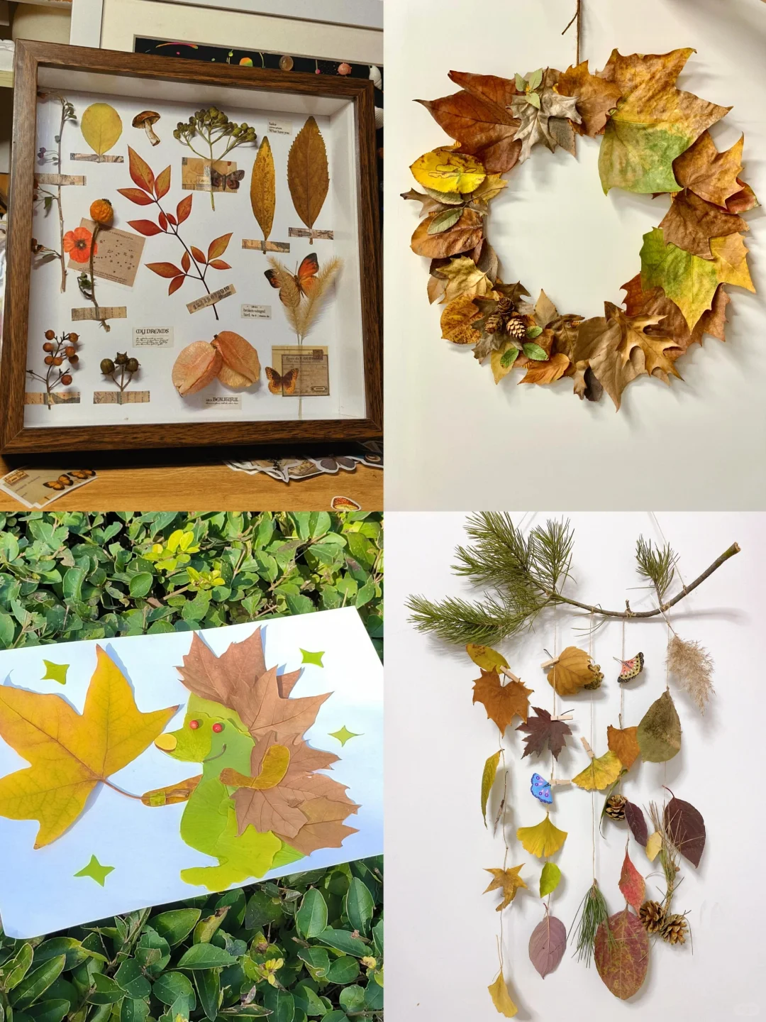 艾特你的好朋友一起去公园捡秋天！