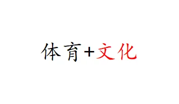 体育+文化