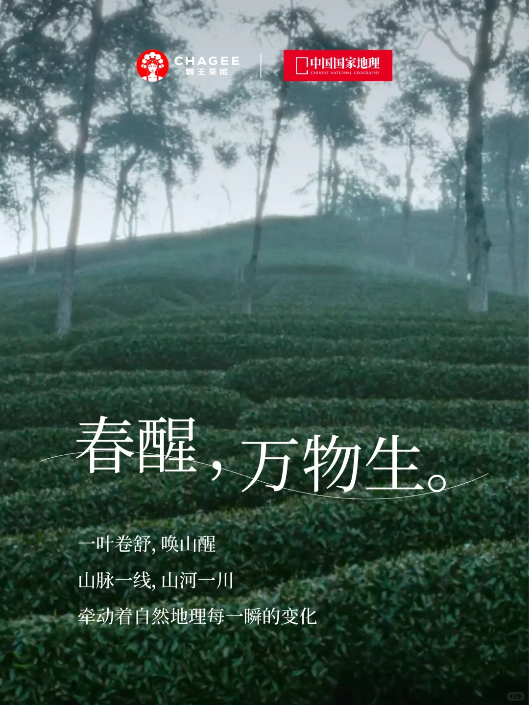 携手中国国家地理,将?zb搬进春山啦!