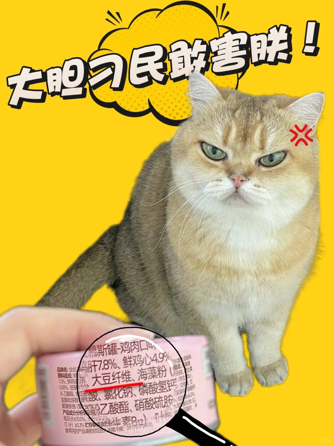 胖胖:震惊!在金故罐头中发现大豆纤维?