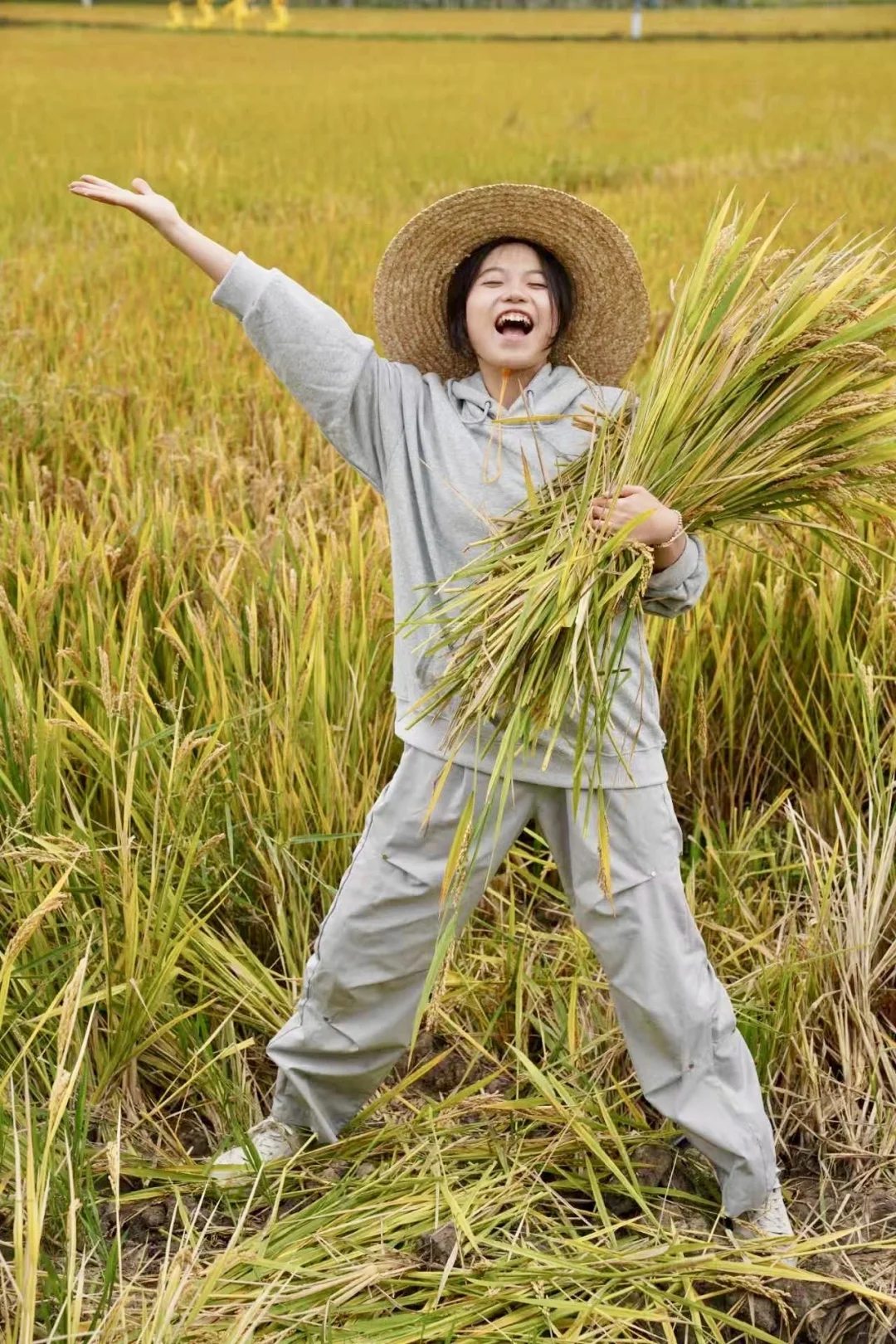 收稻子的日子到了...