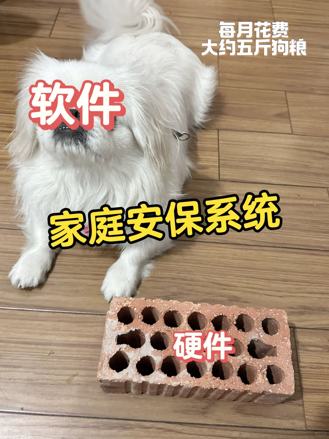 家庭智能安保系统