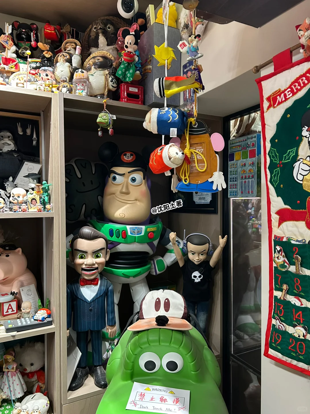 定期拔草之 沈阳这家玩具店全是宝?