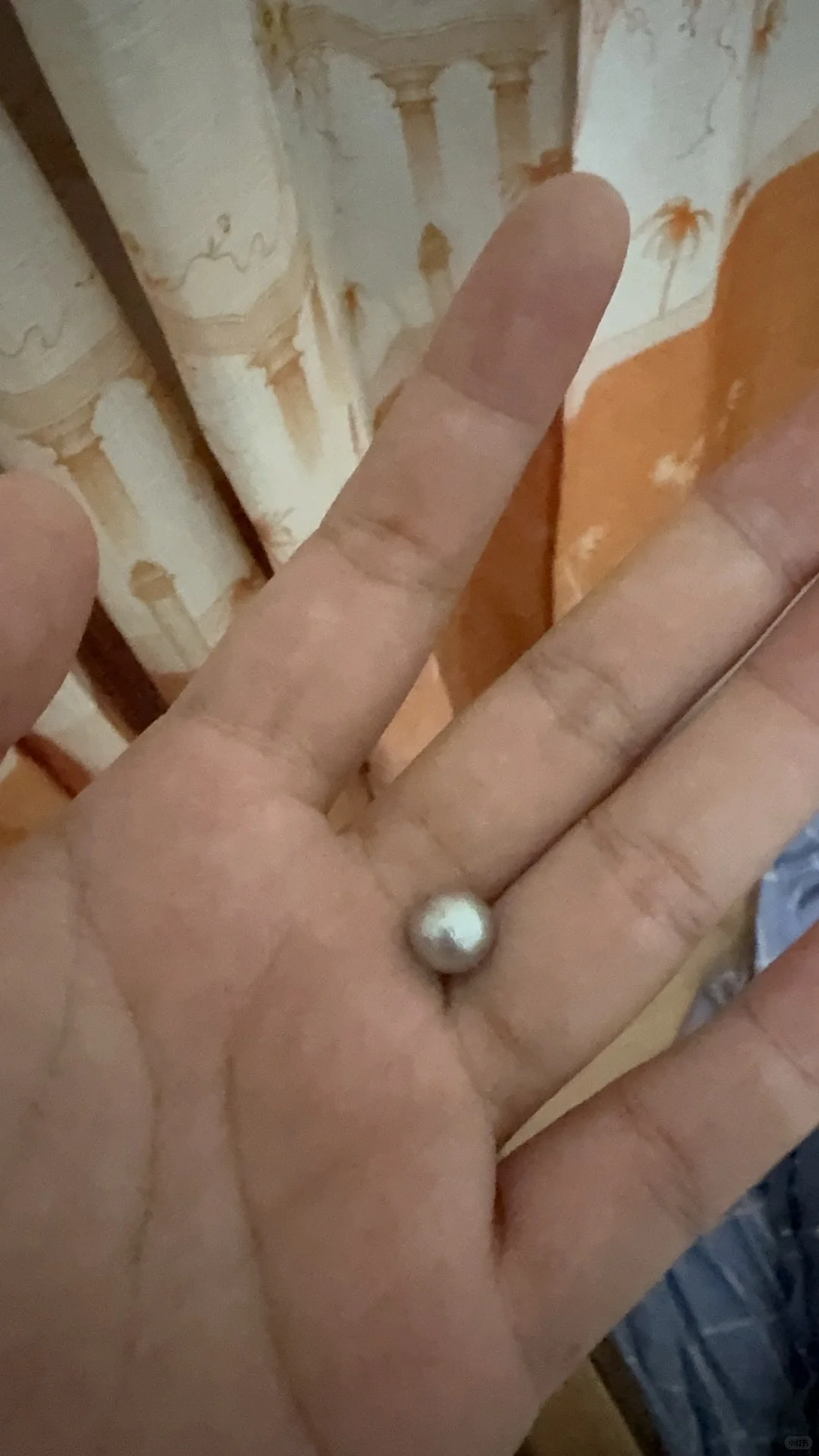 可以报警吗？居然有人往室内打钢珠！