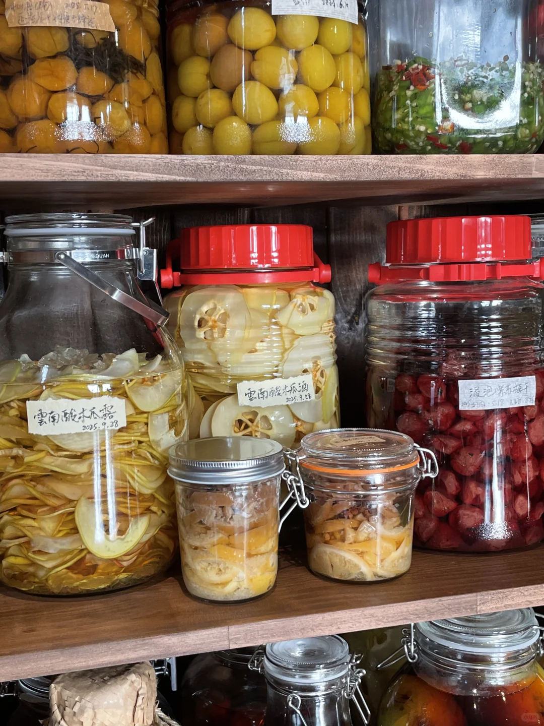 瓶瓶罐罐的我的生活