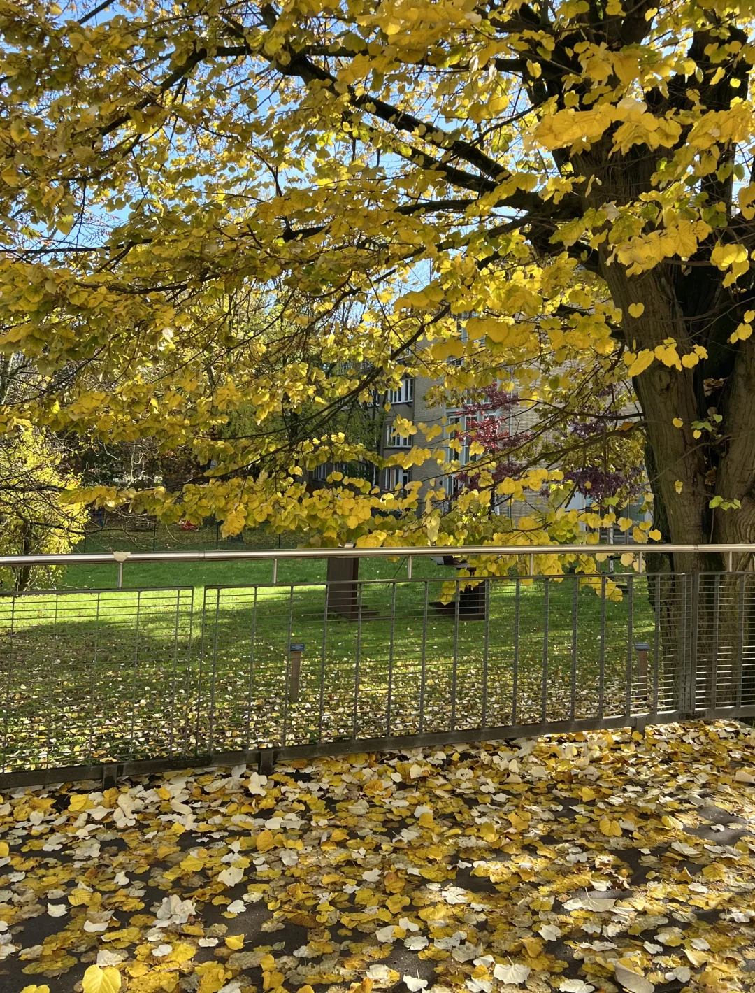 德国旅居三住巴特洪堡
