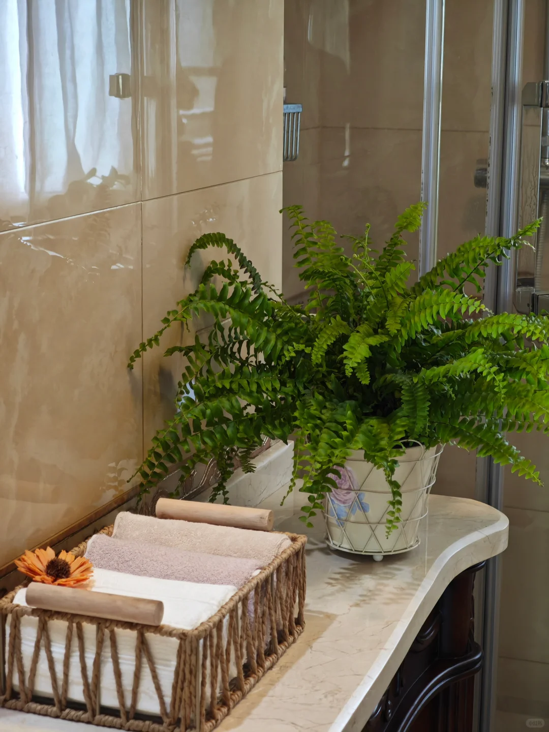 原来5m²卫生间也可以美到闪闪发光✨