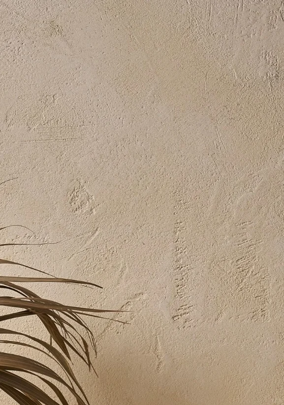 艺术涂料,颜值与功能并存的装修神器