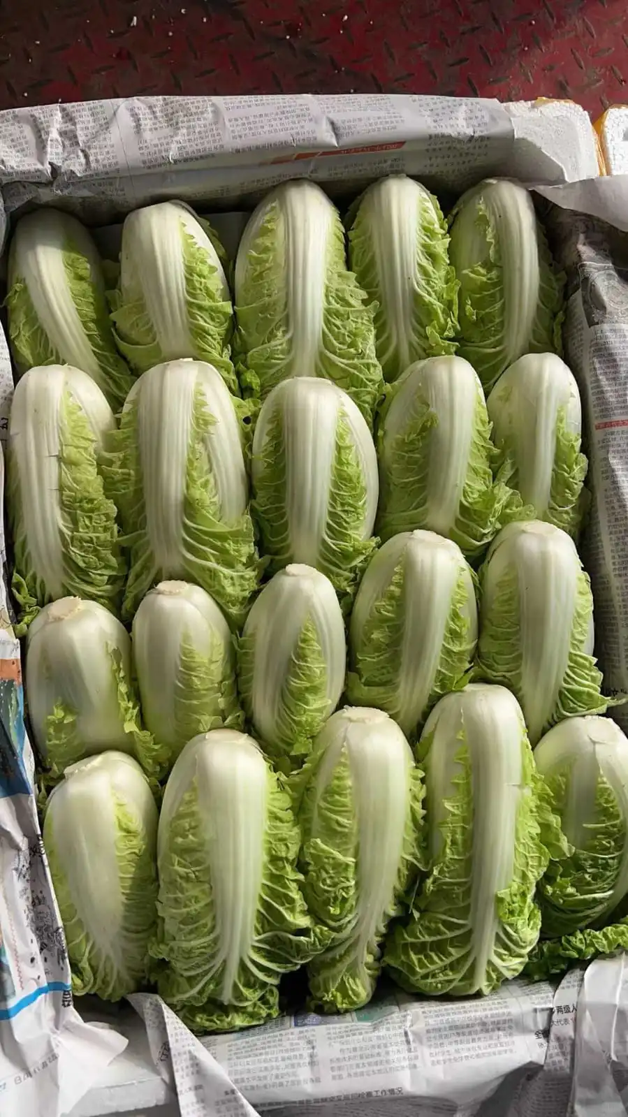 港蔬菜,一條龍??服務 优质客户可月結