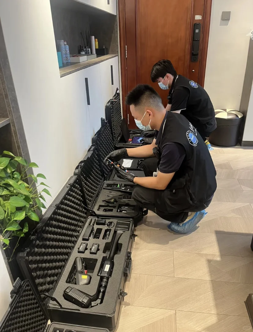 双十一摄像头检测服务活动来啦?