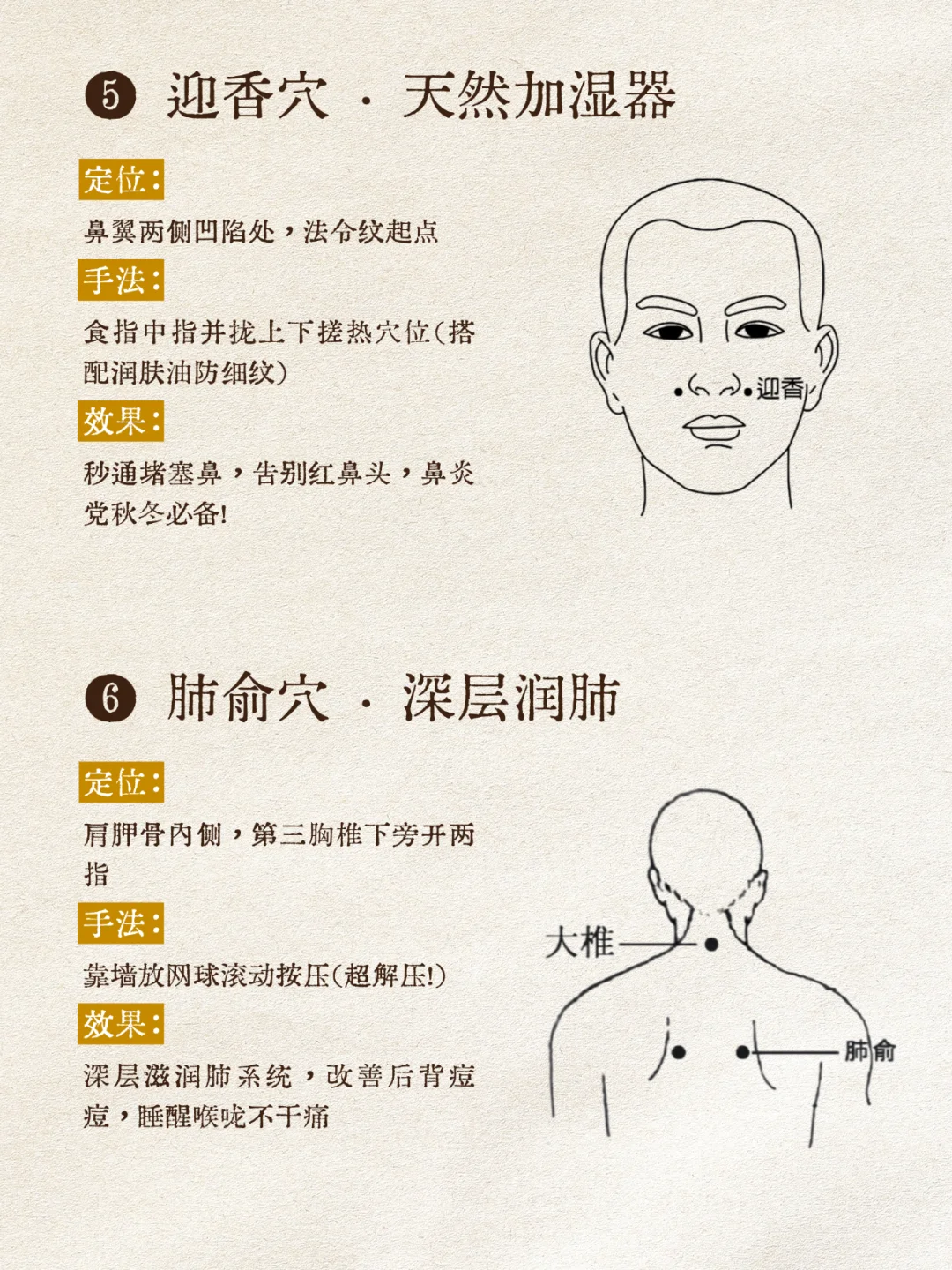 中医：人体自带养肺穴