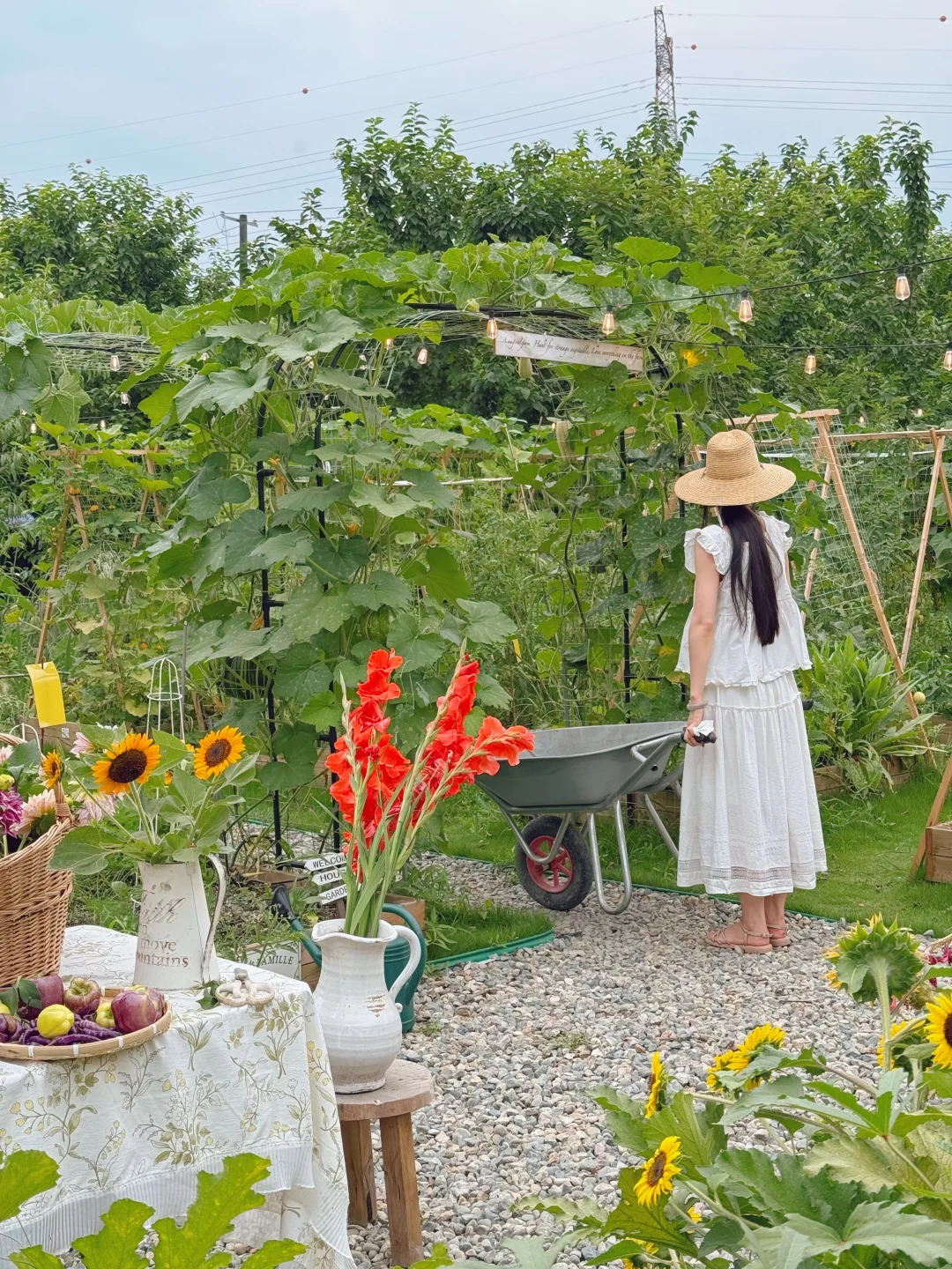 让瓜藤爬成拱门?实用又好看 省空间还遮阴