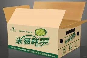 包装企业看过来！顶级客户，在海外果蔬展！